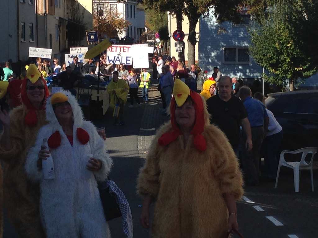 Oktobermarkt 2018 Festzug Miehlen Bilder 051